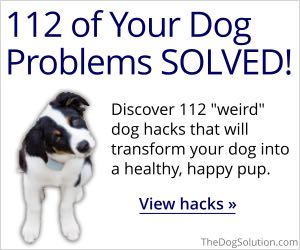 112 dog problems solved