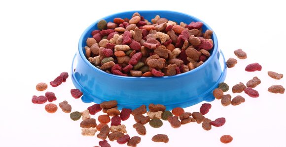 Find Out If Commercial Dog Food Is Helping Or Hurting Your Dog!